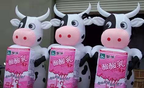 赣县牛奶厂广告气模